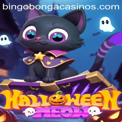 Exploring HalloweenMeow: The Perfect Blend of Spookiness and Fun with Bingobonga